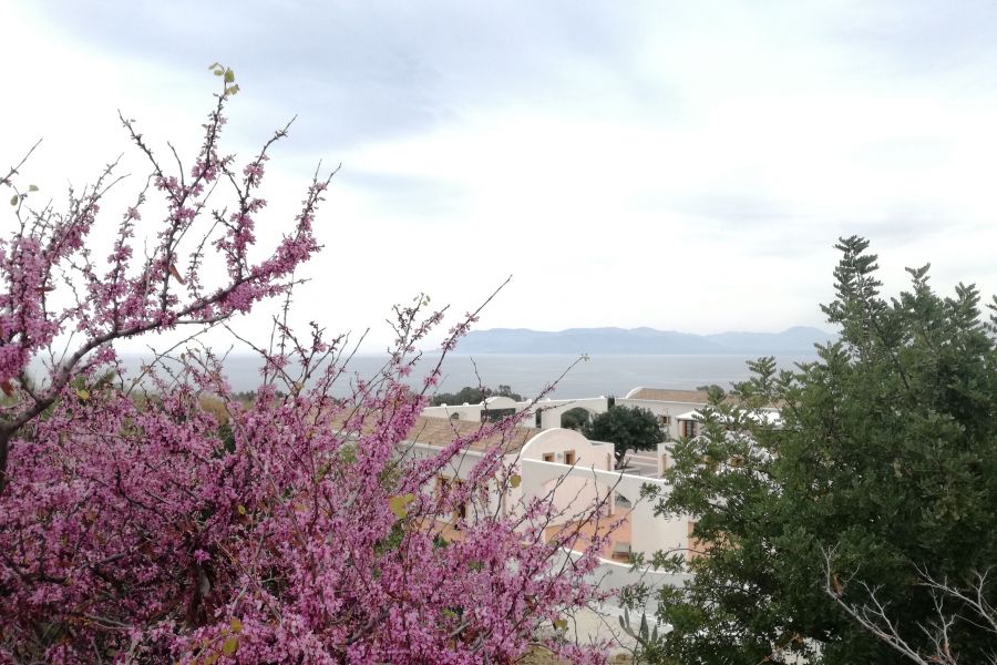 Buona Pasqua 2020